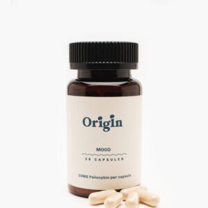 Home import placeholder for 492