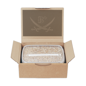 Home import placeholder for 444