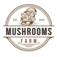 cropped 709b3264b3c5fcb315cbb952cd85068f.jpg