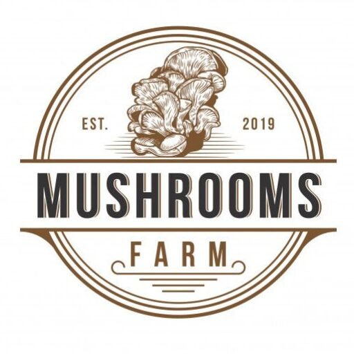 cropped 709b3264b3c5fcb315cbb952cd85068f.jpg