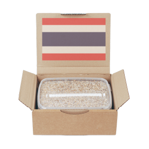 import placeholder for 456